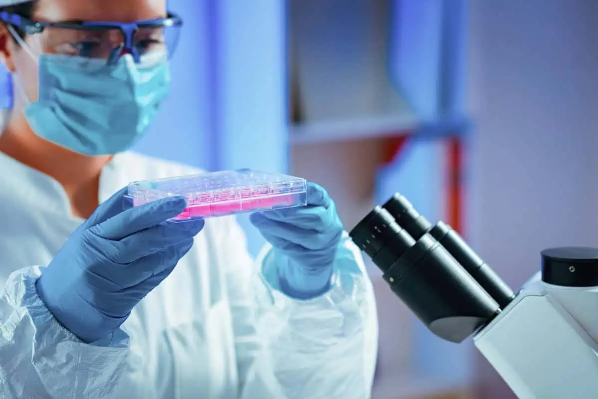 A Future Where Stem Cells Restore Sight for the Visually Impaired
