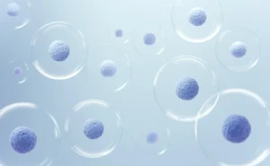 Are Umbilical Cord Stem Cells Legal? Here’s What You Should Know