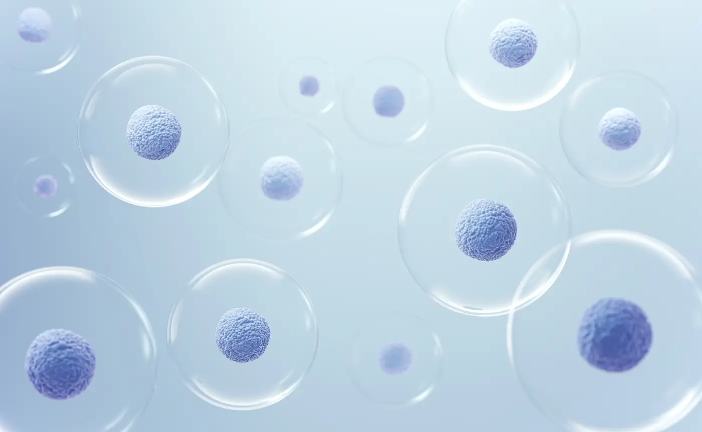 Are Umbilical Cord Stem Cells Legal? Here’s What You Should Know