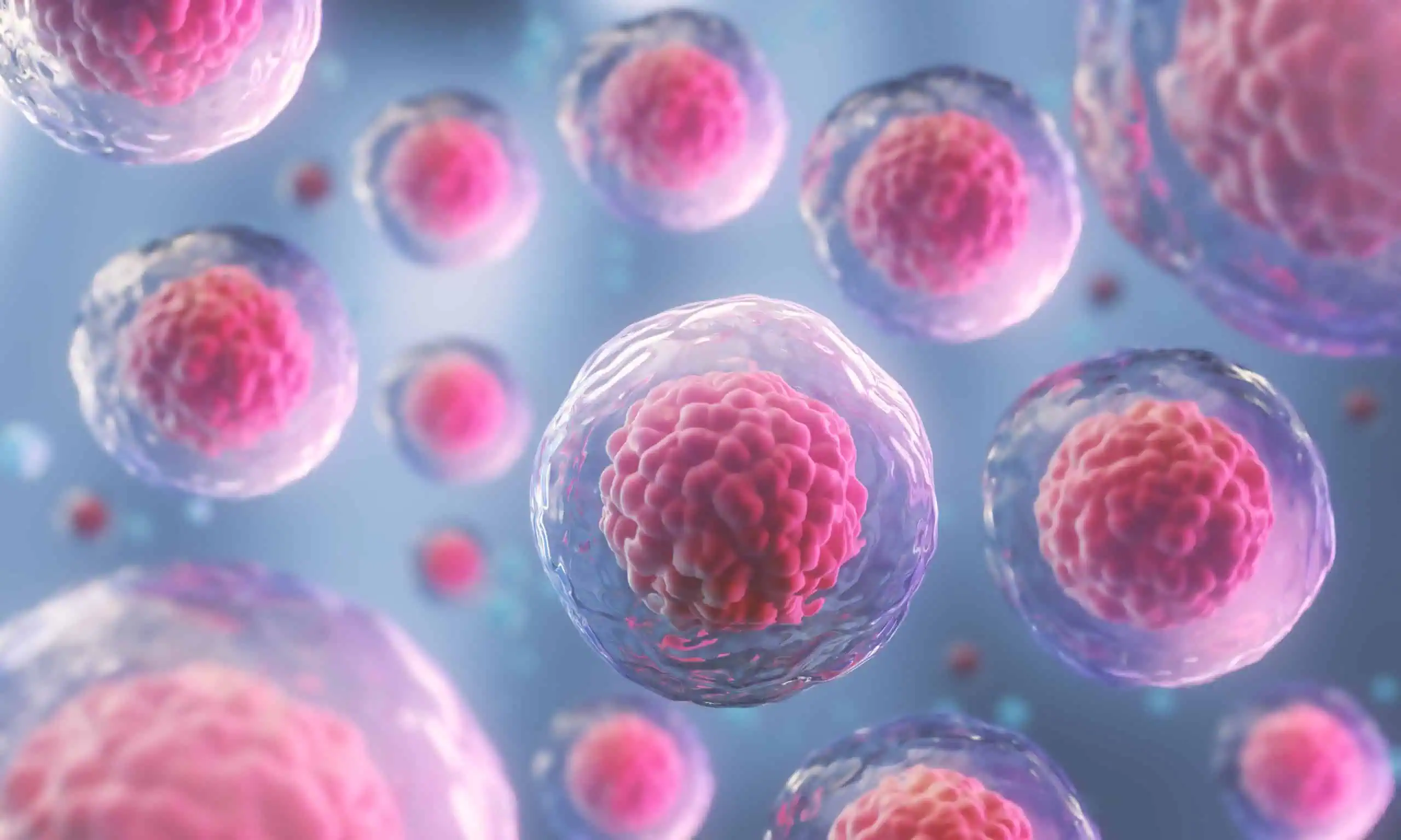 Stem cell consultation at The Re Clinic in Utah